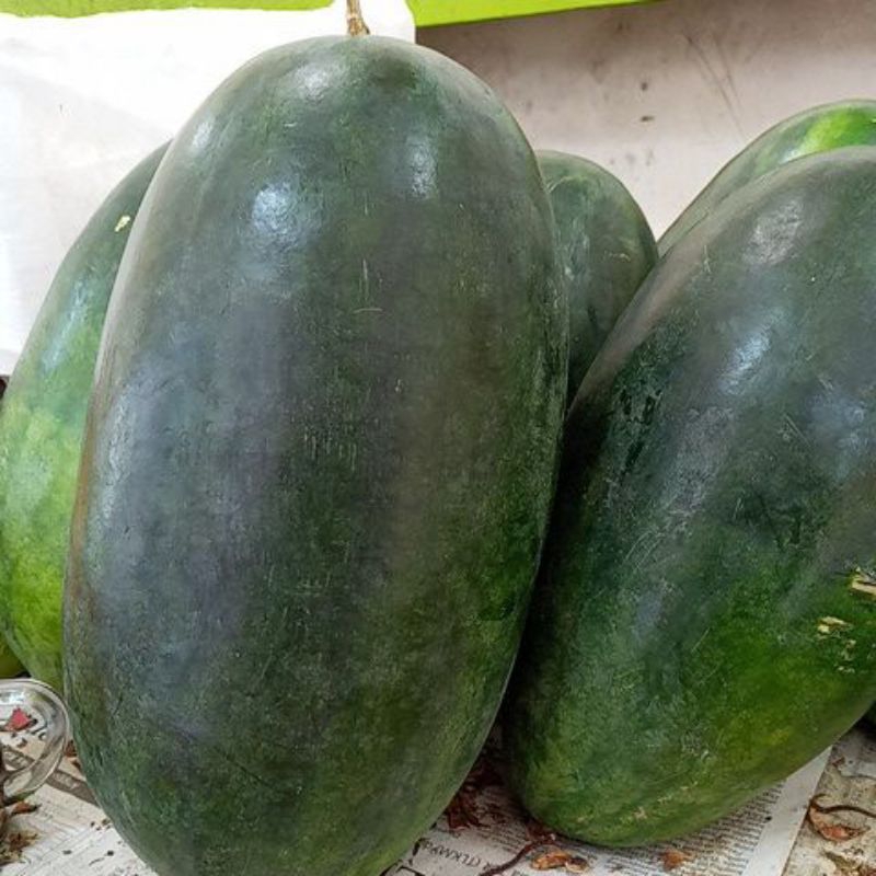 

Semangka Mini /InuL 1 buah