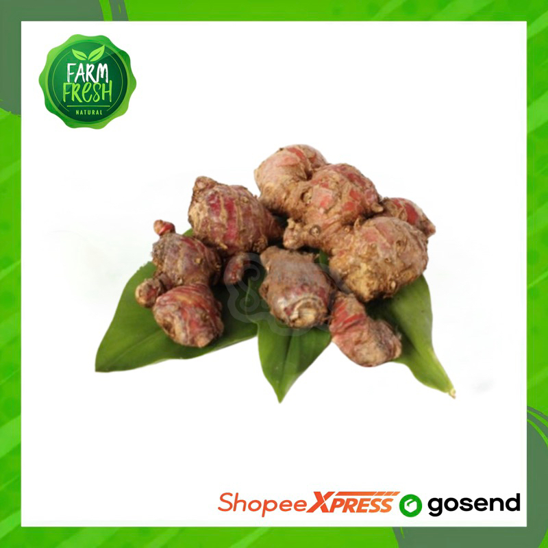 

KIRIM INSTAN Bumbu Dapur Jahe Merah / Per Pack
