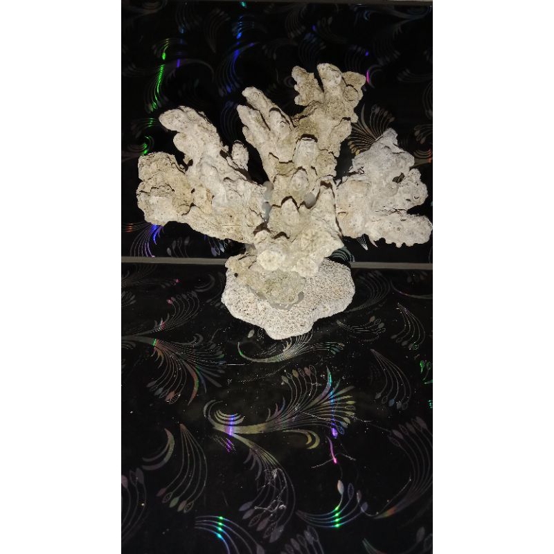 Batu karang Hiasan aquarium aquascape rumah ikan terumbu karang rangkai