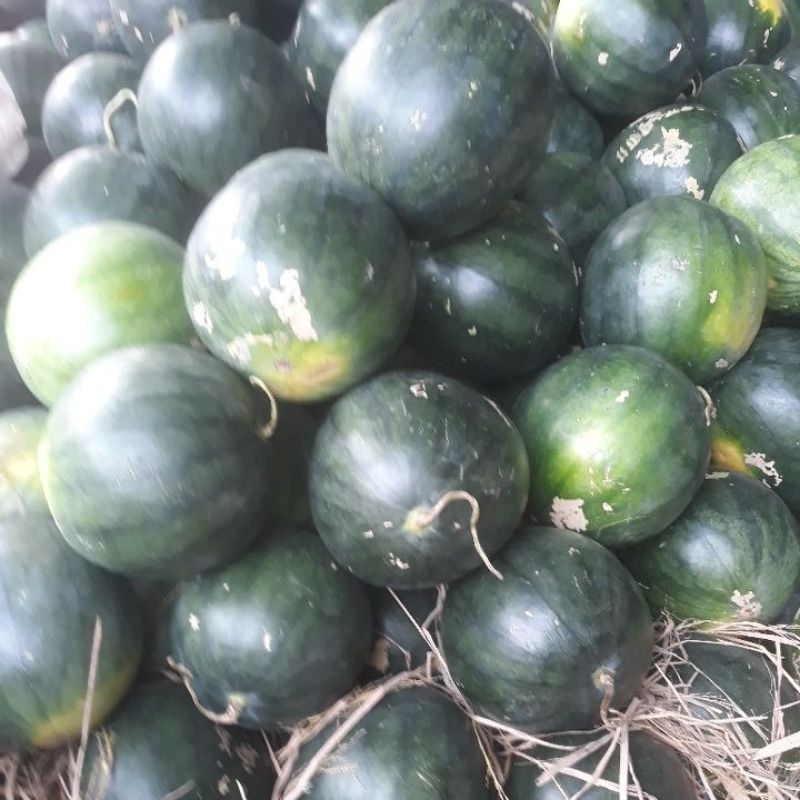 

semangka tanpa biji jual satuan
