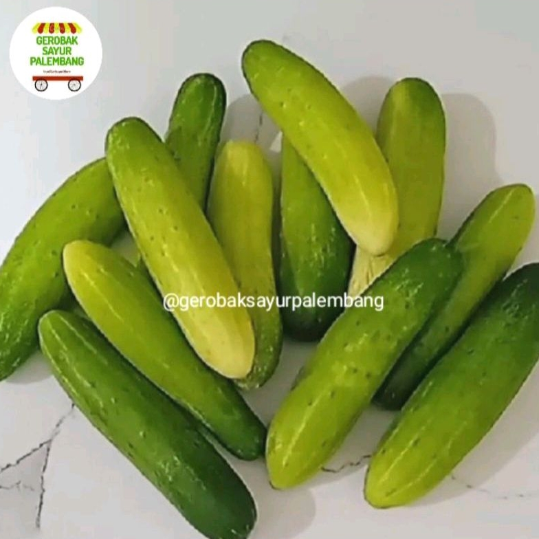 

Timun Baby 250 gr - Gerobak Sayur Palembang