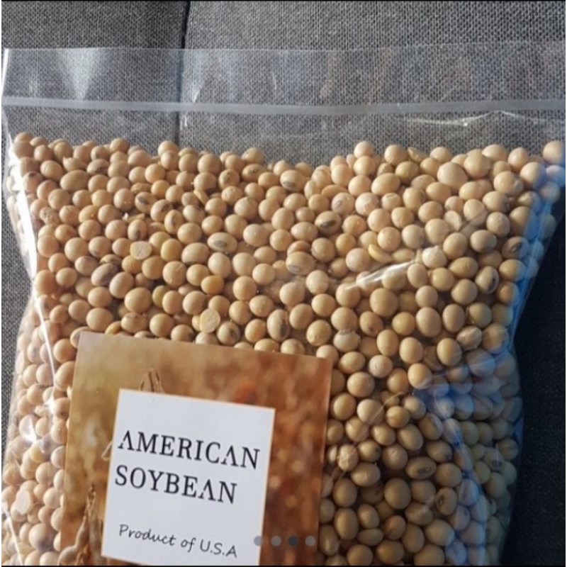 

KacangKedelaiUSA/AmericanSoyBean/Premium1KG