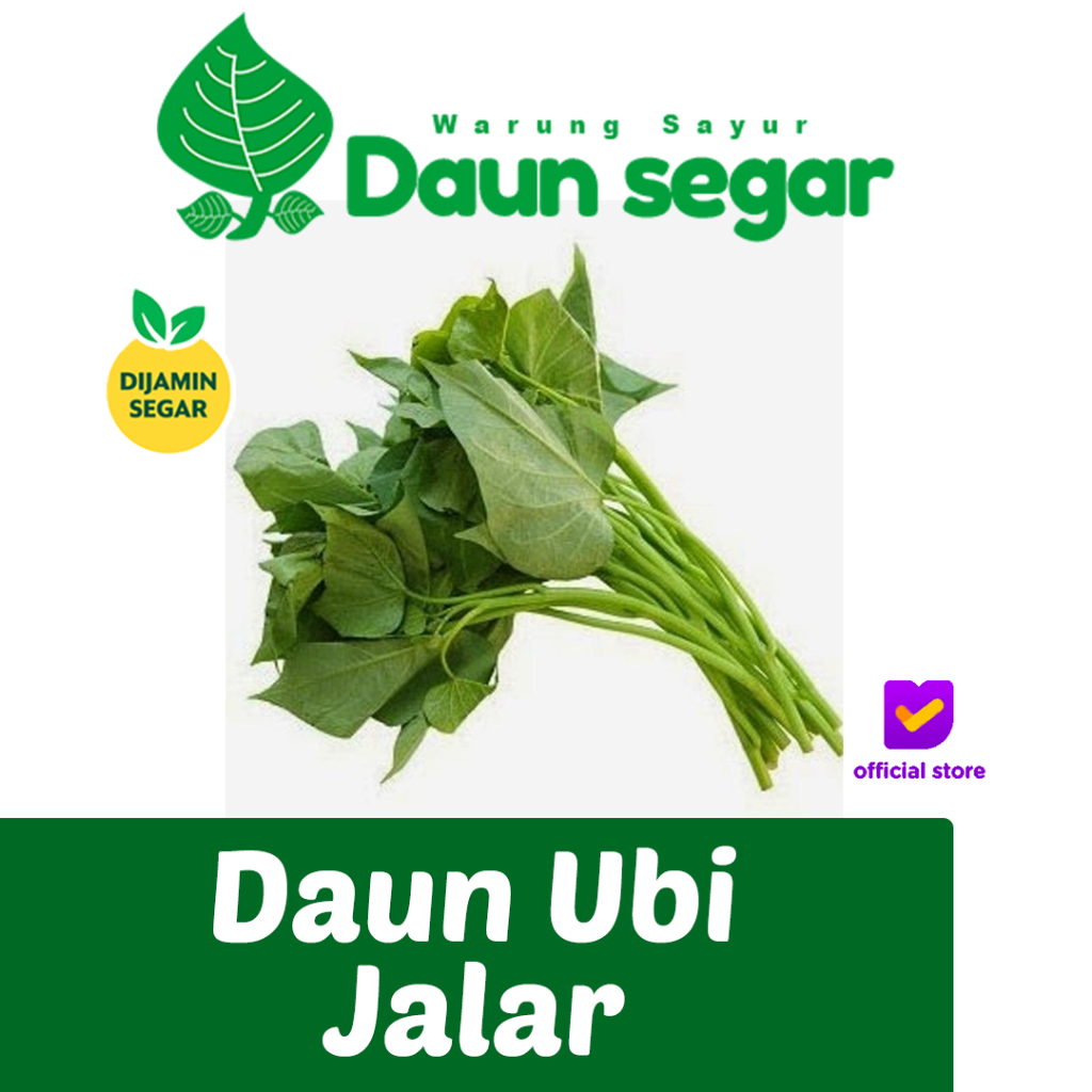 

Daun ubi jalar Murah abisss Langsung dari Petani Tangerang