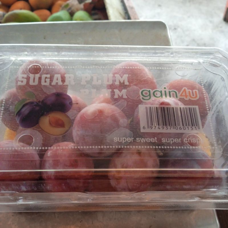 BUAH PLUM HIJAU / PLUM IJO / BUAH SEGAR / PLUM