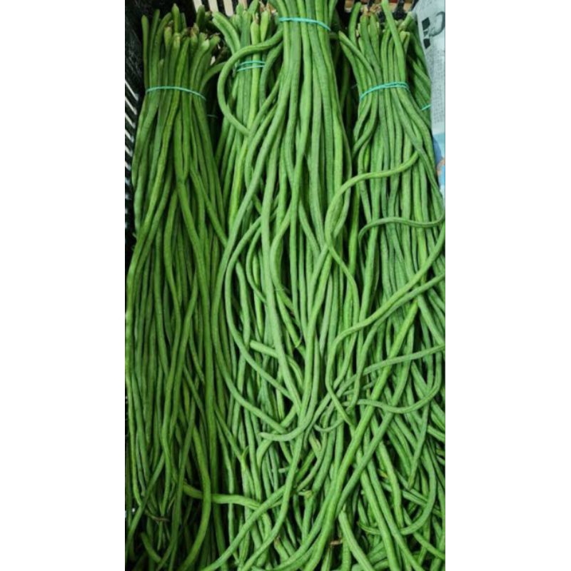 

kacang panjang 500gr sayur kacang