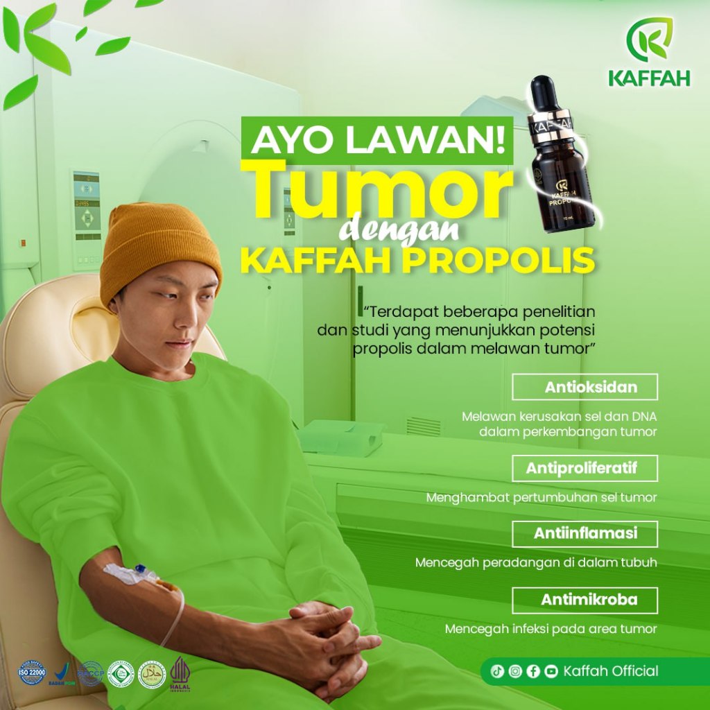 Herbal Penyakit Tumor, Kanker, Benjolan Kaffah Propolis 10 ml