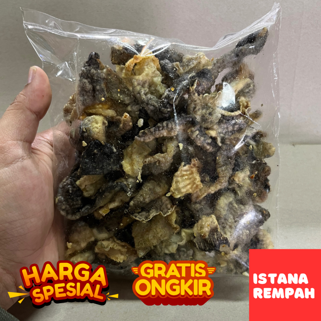 

Kerupuk Kulit Ikan Salmon 100gr Rambak Ikan Salmon