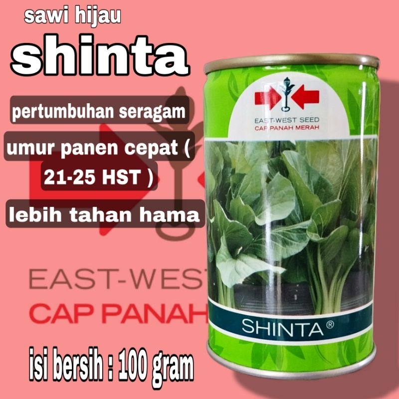 

sawi shinta 100 gram / sawi hijau / sawi bakso / sawi tosakan / sawi tahan hama /