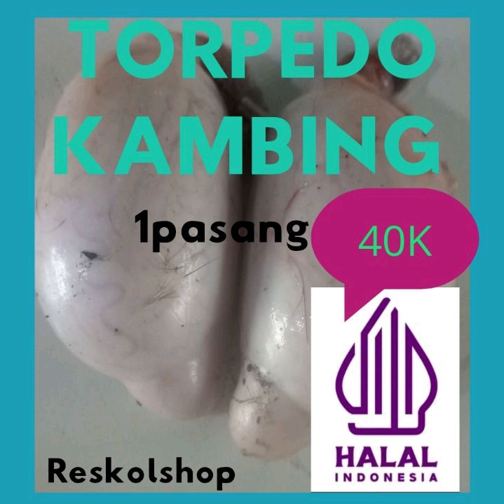 

Torpedo kambing 1pasang