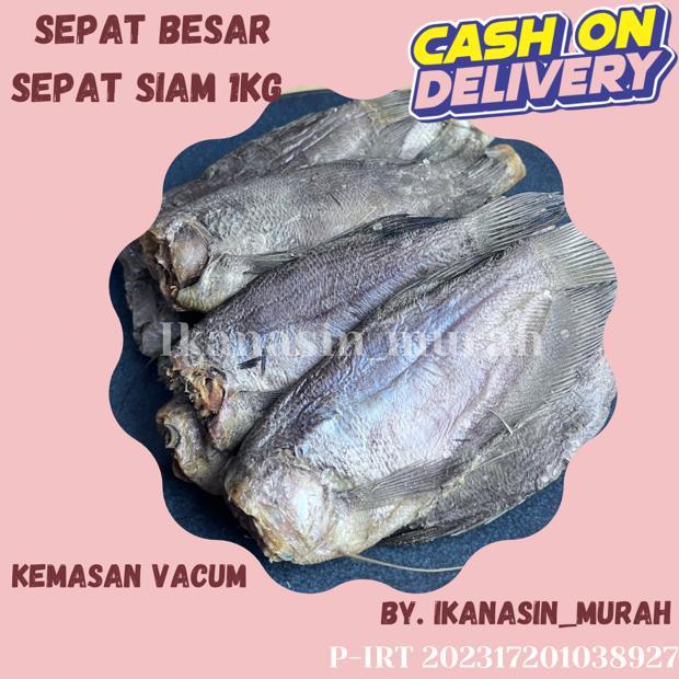 

IKAN ASIN SEPAT KECIL / SEPAT BESAR 1KG / IKAN ASIN MURAAH BISA COD