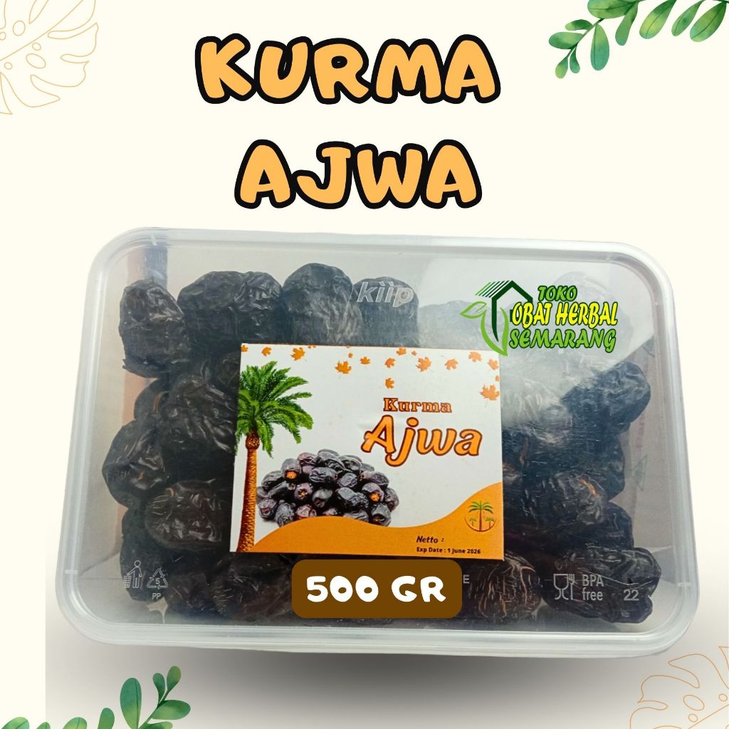 

Kurma Ajwa Kurma Nabi 500 Gram Asli Madinah Kurma Nabi Ajwa Premium Original Saudi Arabia Makanan Oleh Oleh Haji dan Umroh