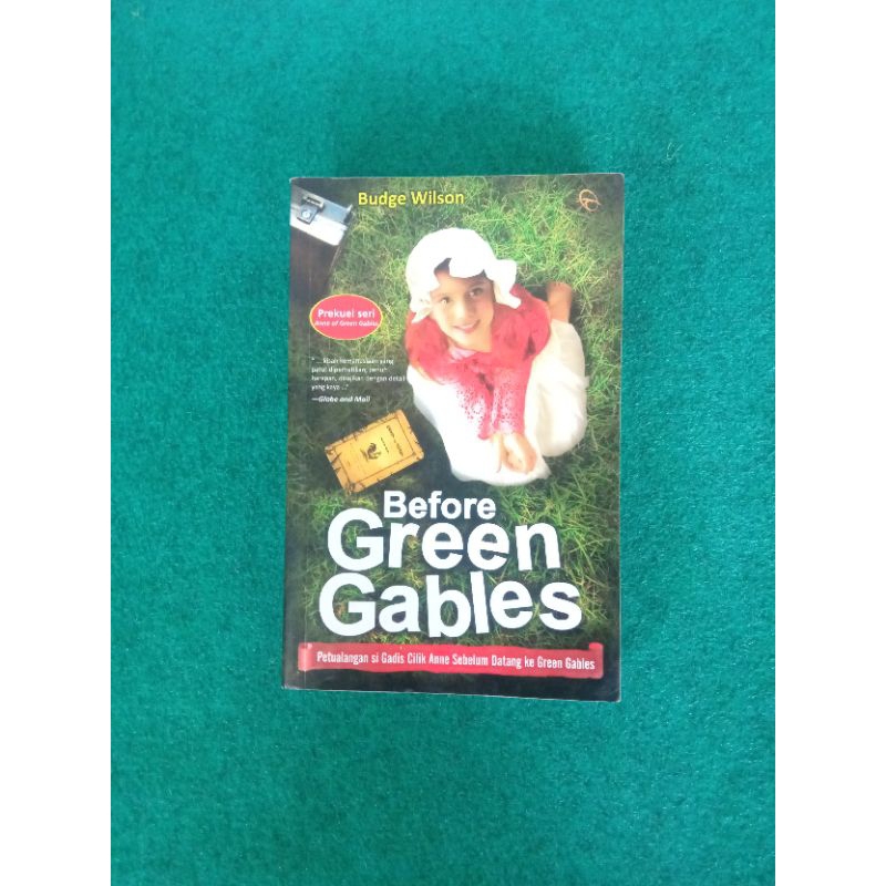 Novel Before Green Gables - Budge Wilson