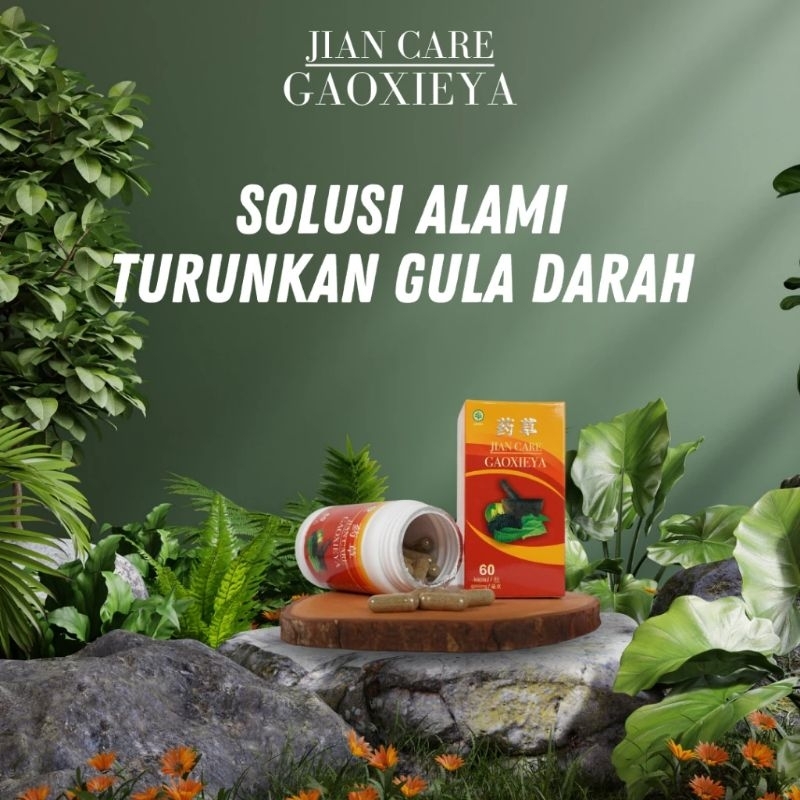 JIAN CARE GAOXIEYA ORIGINAL ASLI BPOM MENURUNKAN KENCING MANIS DIABETES DAN GULA DARAH AMPUH