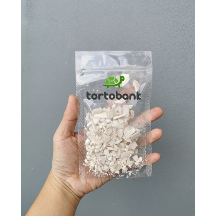 Produk CUTTLEFISH BONE - TULANG SOTONG PECAHAN - KALSIUM KURA / KALSIUM BURUNG / KALSIUM REPTIL