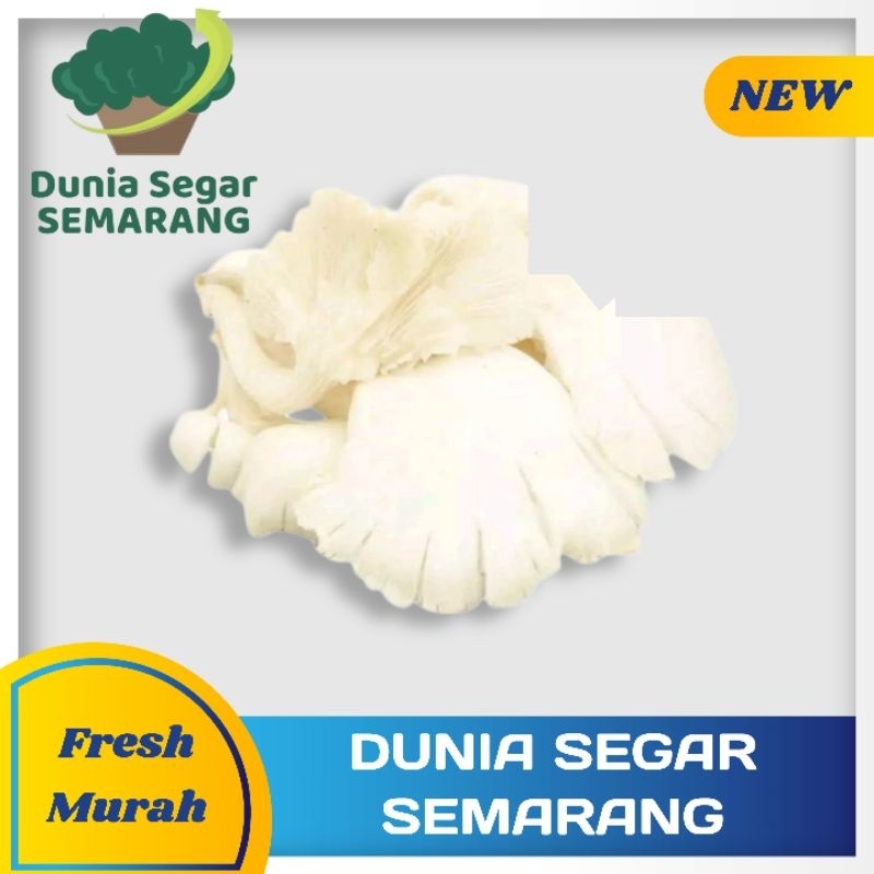 

Jamur Tiram 500 gr