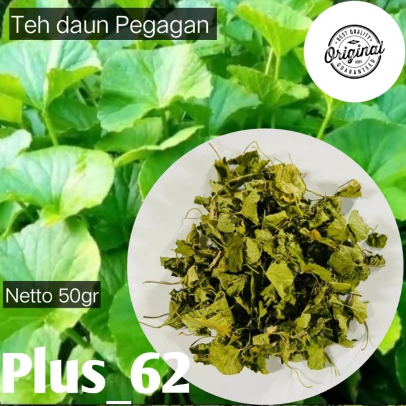 

Teh kering daun pegagan asli tanpa batang kemasan 50gr