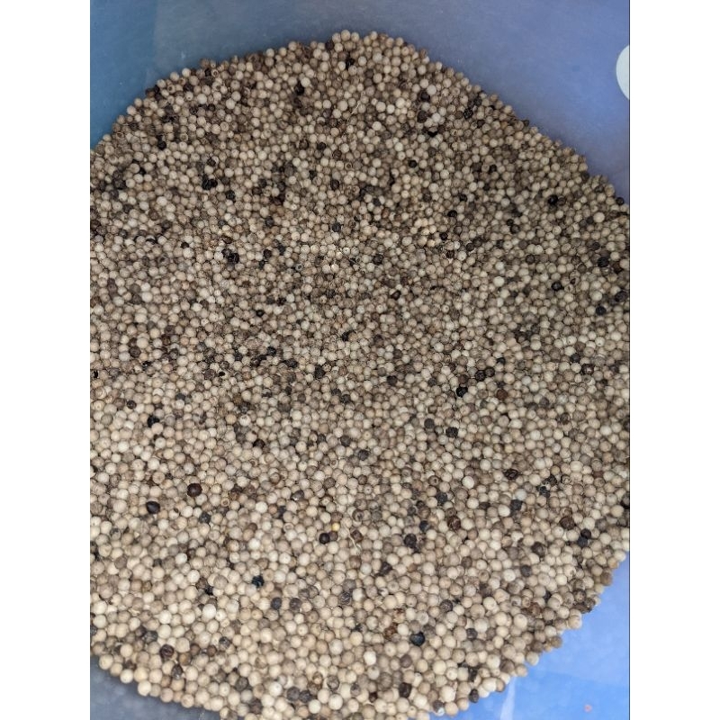 

merica bulat lokal kualitas paten 200gr