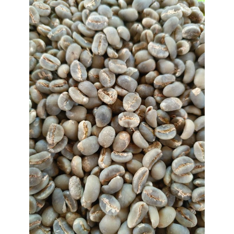 

Kopi Green Bean Arabika Gayo Varian Fullwash 500gr