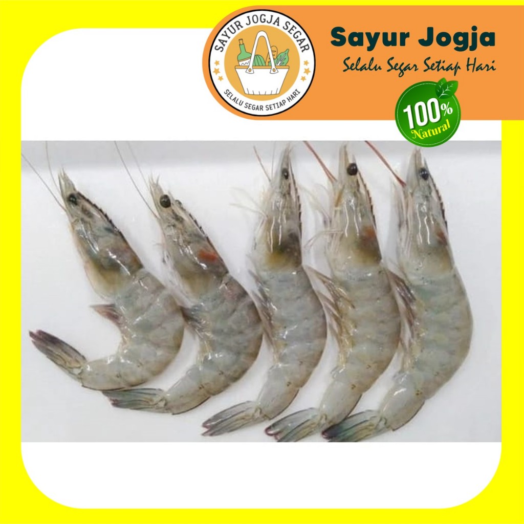 

UDANG SEGAR BESAR SEDANG Per 250 gram - Sayur Jogja
