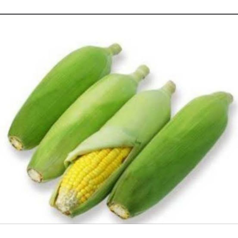 

jagung kulit manis 500g
