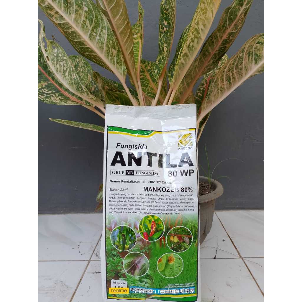 ANTILA 80 WP 1kg