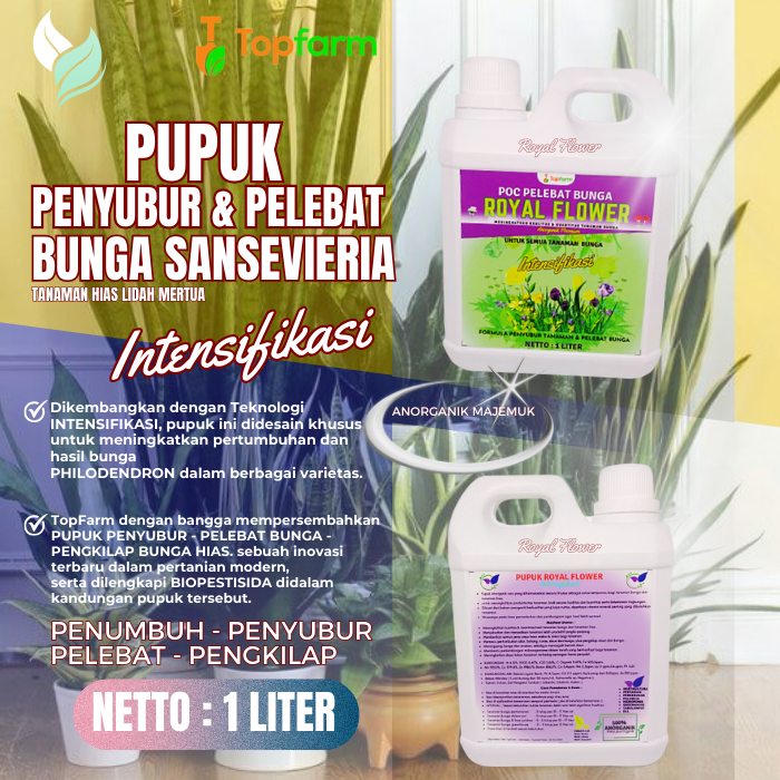Pupuk Lidah Mertua / Pupuk Tanaman Hias Sansevieria / Pupuk Khusus Bunga / Pupuk Khusus Daun Tanaman