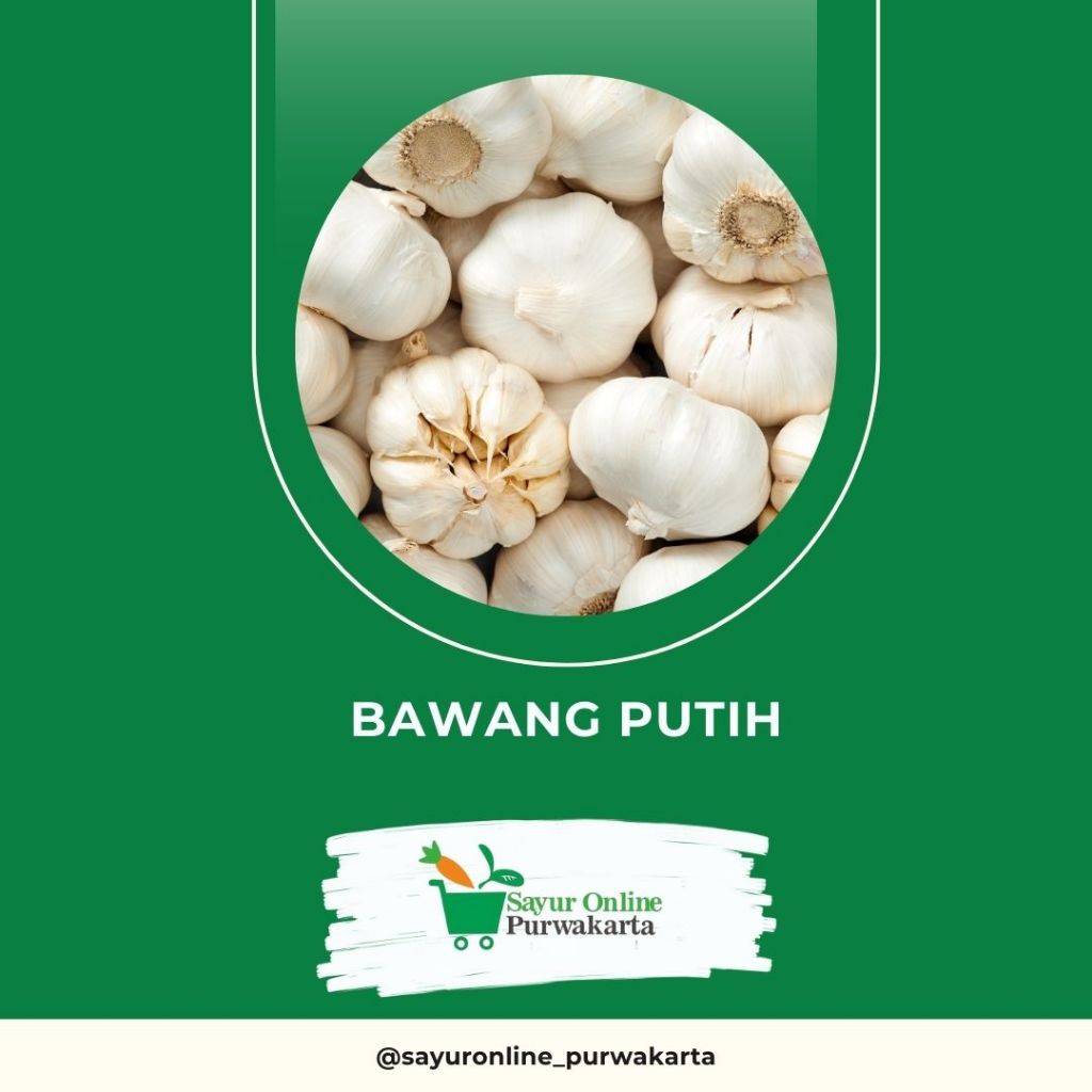 

Bawang Putih - Sayur Online Purwakarta