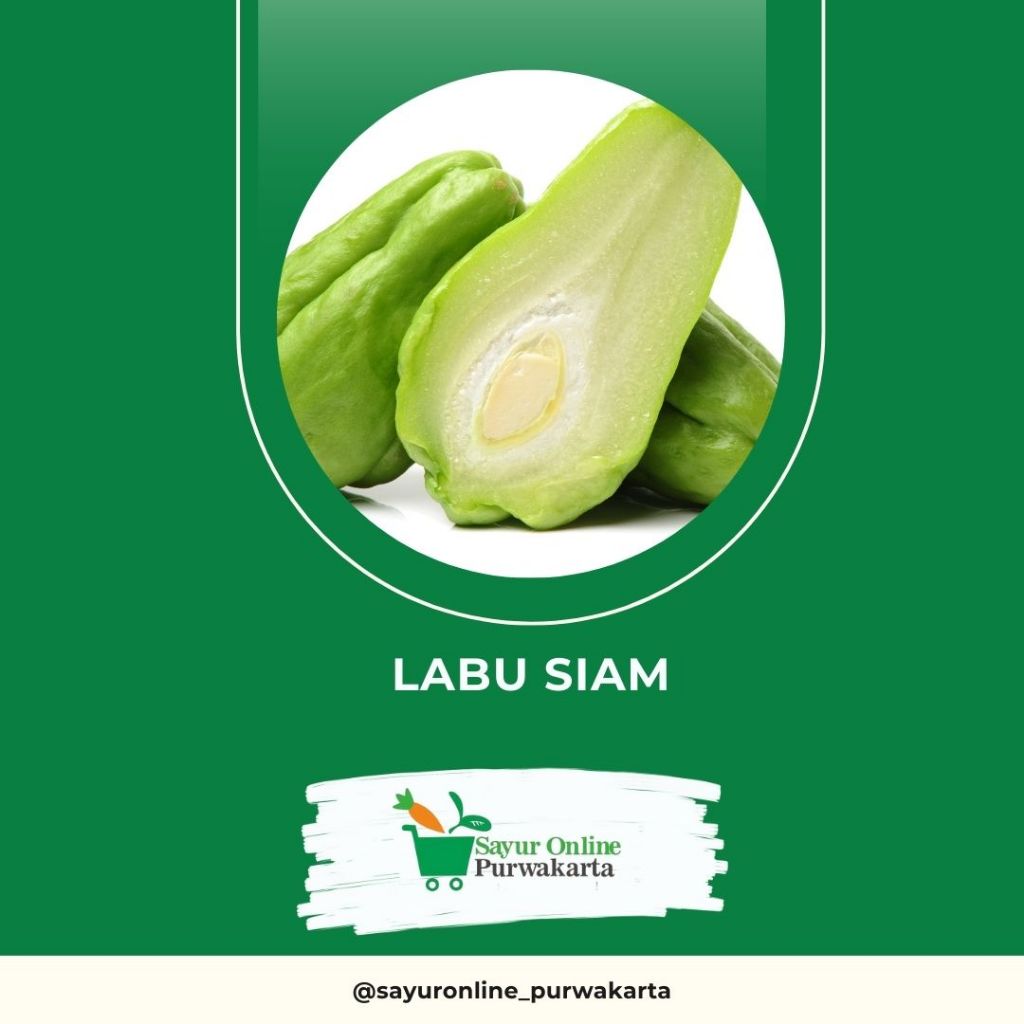 

Labu Siam Besar - Sayur Online Purwakarta