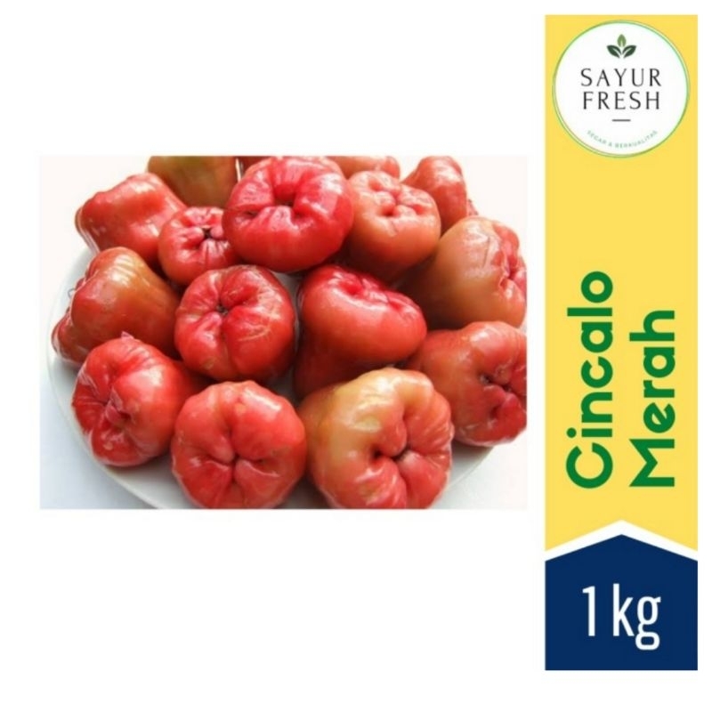 

Jambu cincalo merah 1 kg