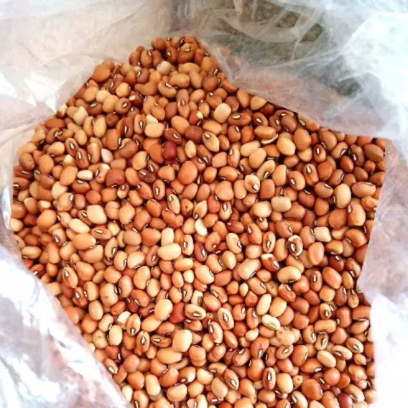 

Kacang Tolo Merah/ kacang Beras 50gr / 100gr