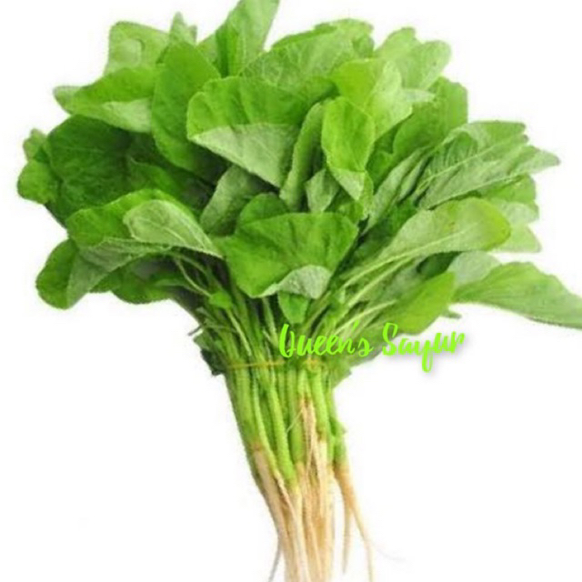 

Sayur Bayam 1 Ikat