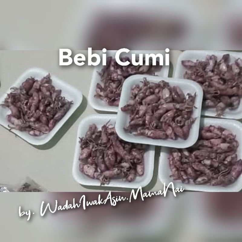 

ikan asin murah Bebi cumi / cumi kecil / cumi murah / cumi ecer