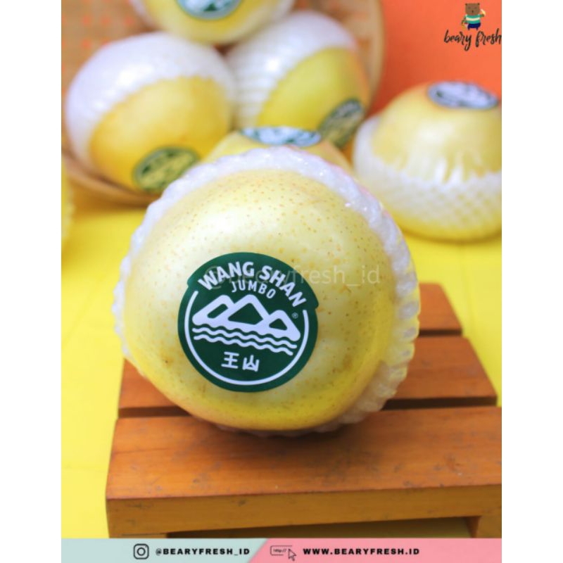 

Pear Golden Wangshan Jumbo Premium (Per 1 Buah)