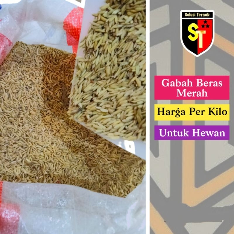 Gabah Beras Merah untuk Pakan Ayam 1Kg