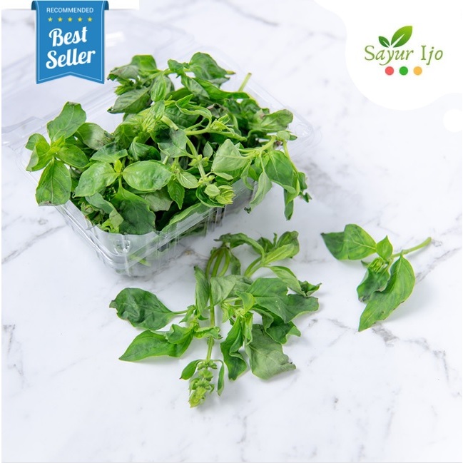 

Daun Basil Sweet Italian 40 - 50 Gram Fresh Sayur Hijau Thailand Segar