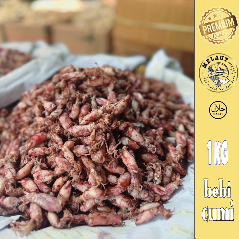 

BEBI CUMI ASIN, 1KG KUALITAS SUPER cocok untuk sambal cumi