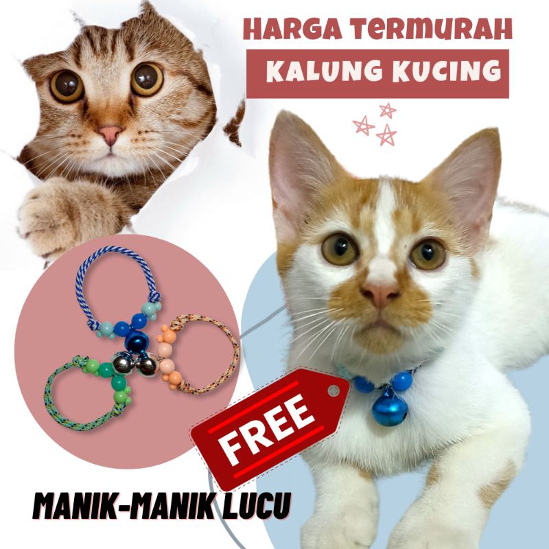 Kalung kucing lonceng manik-manik bell nyaring kualitas bagus kalung kucing anti kutu murah