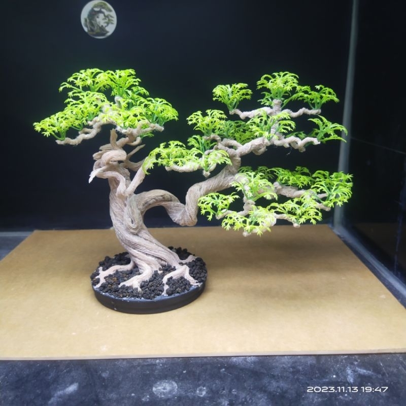 Bonsai Aquascape Jadi Tinggal Pajang