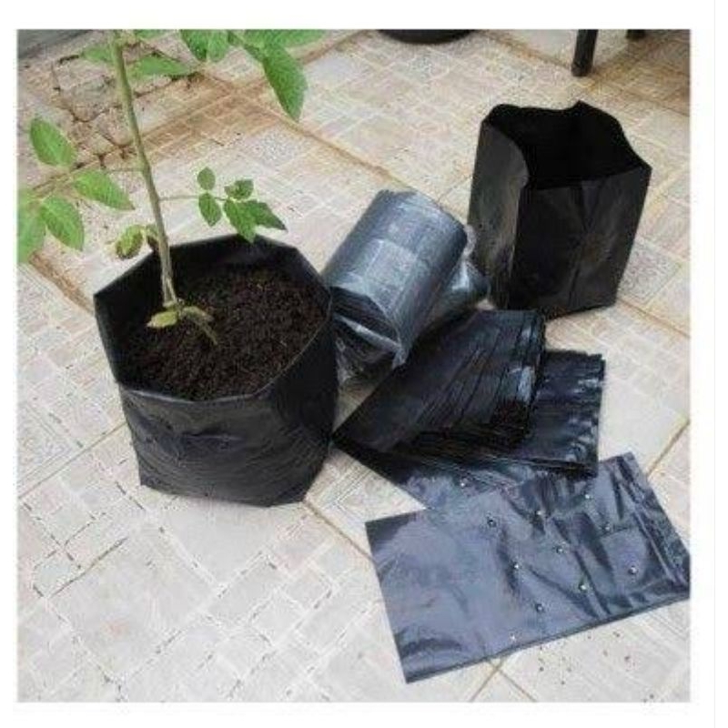 Polybag Jumbo Ukuran 40x40 Polybag Premium Tebal