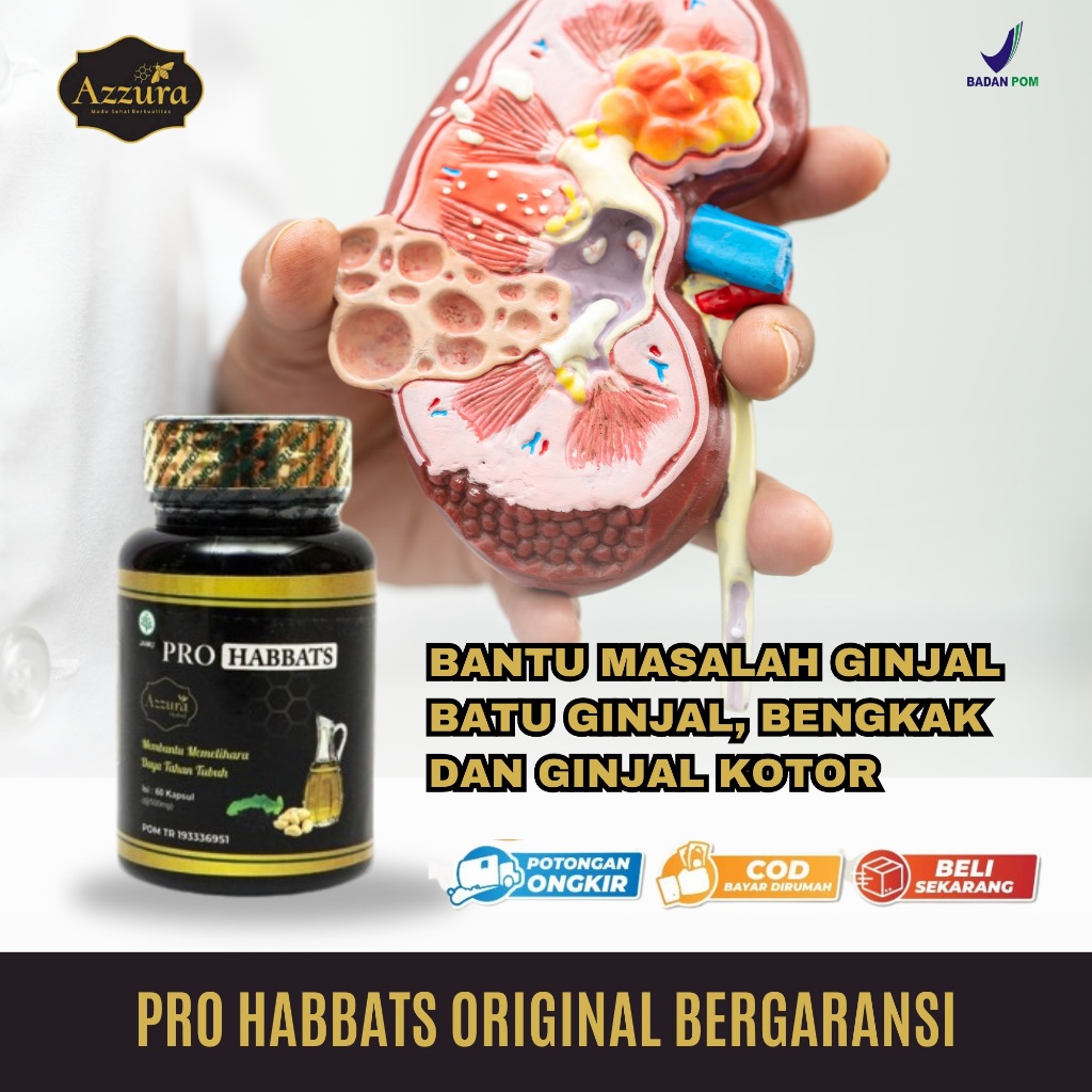 Obat Ginjal Kronis / Penyakit Batu Ginjal / Gagal Ginjal / Ginjal Kotor / Pembersih Ginjal / Penyaki