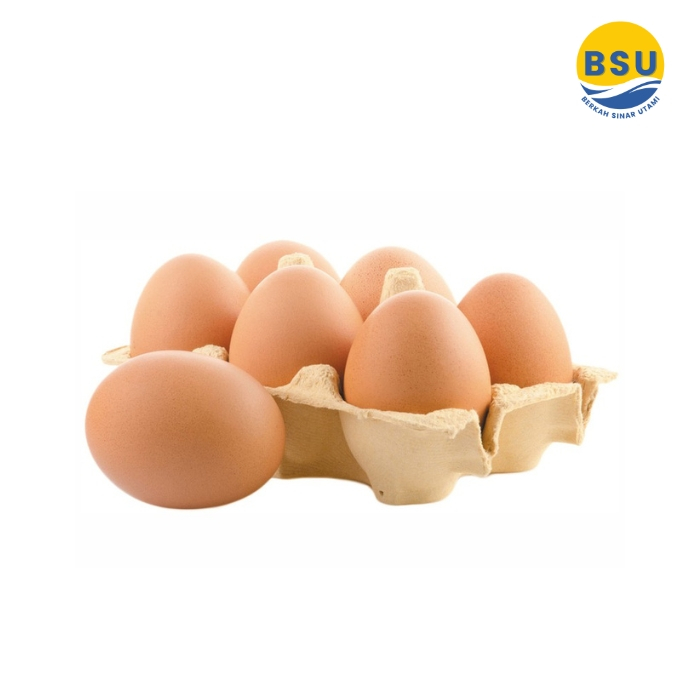 

Telur Ayam Negeri UK 16