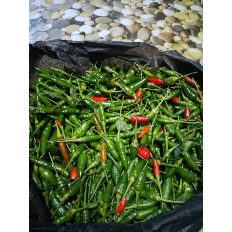 

sayur dan buah segar