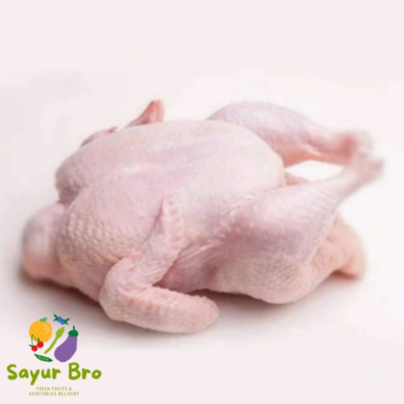 

Ayam Utuh