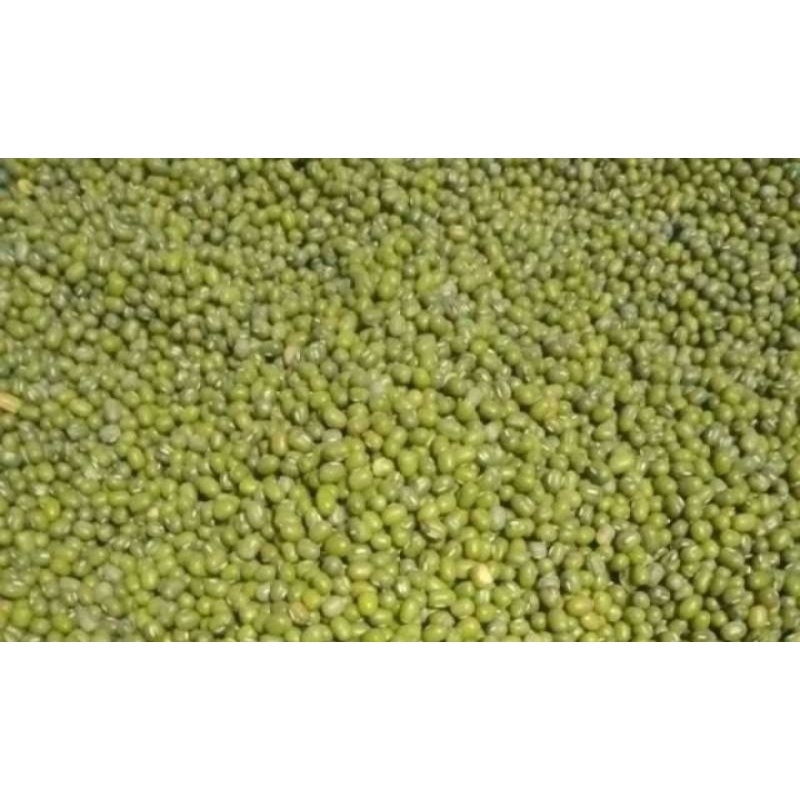 

Kacang ijo super 1 kg
