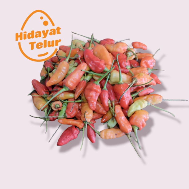 

PROMO HARI INI Cabe / Cabai Rawit Merah Segar / Kg buruan