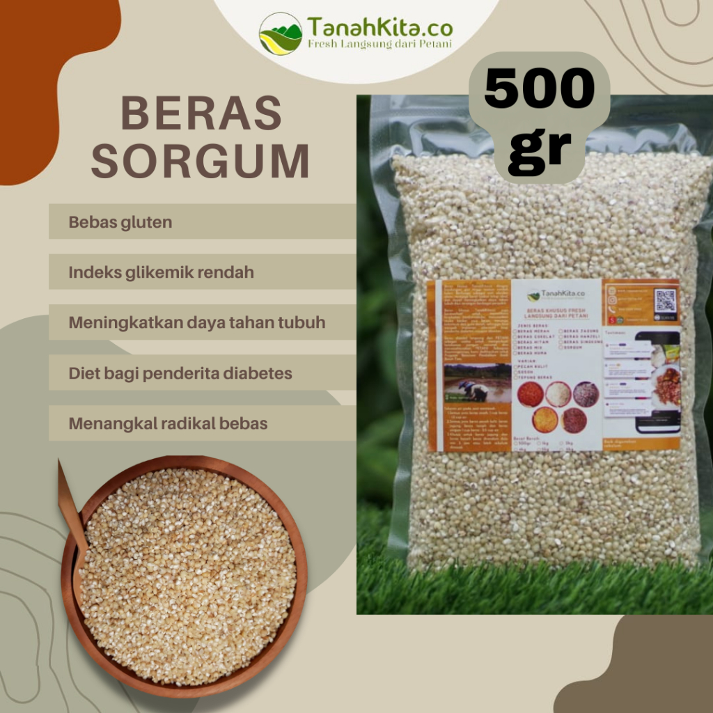 

Beras Sorgum FRESH langsung dari Petani I Sorghum putih I 500gr Vacuum