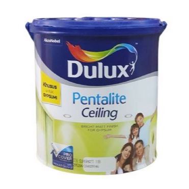 CAT INTERIOR KHUSUS GYPSUM DULUX PENTALITE CEILING (GALON 5KG)