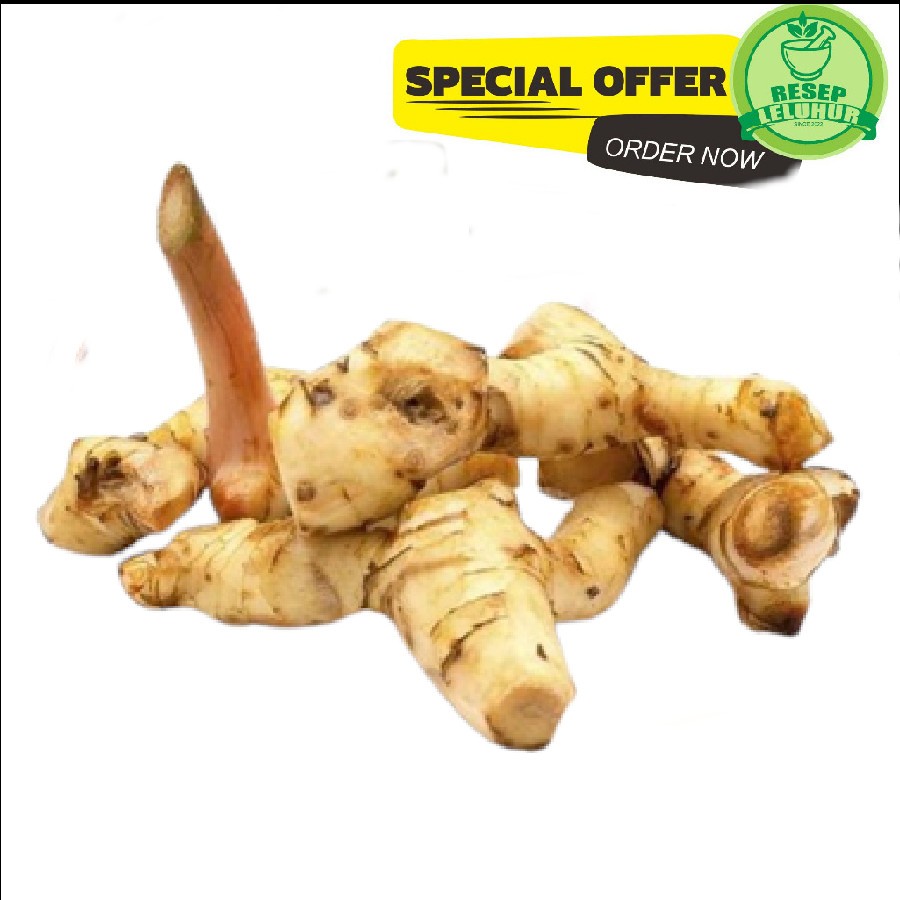 

Lengkuas /Laos 500 gram