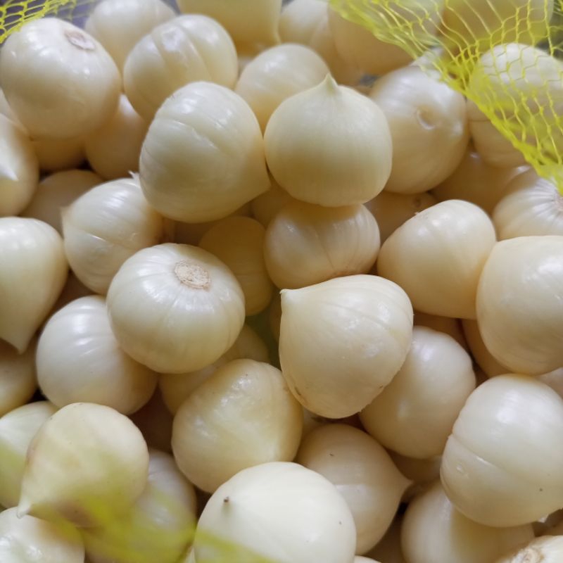 

BAWANG putih tunggal KUPAS