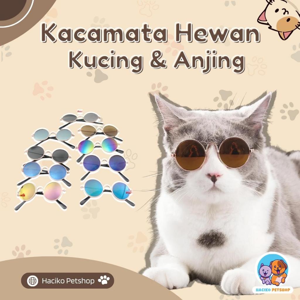 [HACIKO PETSHOP] Kacamata Hewan Peliharaan Kacamata Model Kucing Anjing Aksesoris Anabul